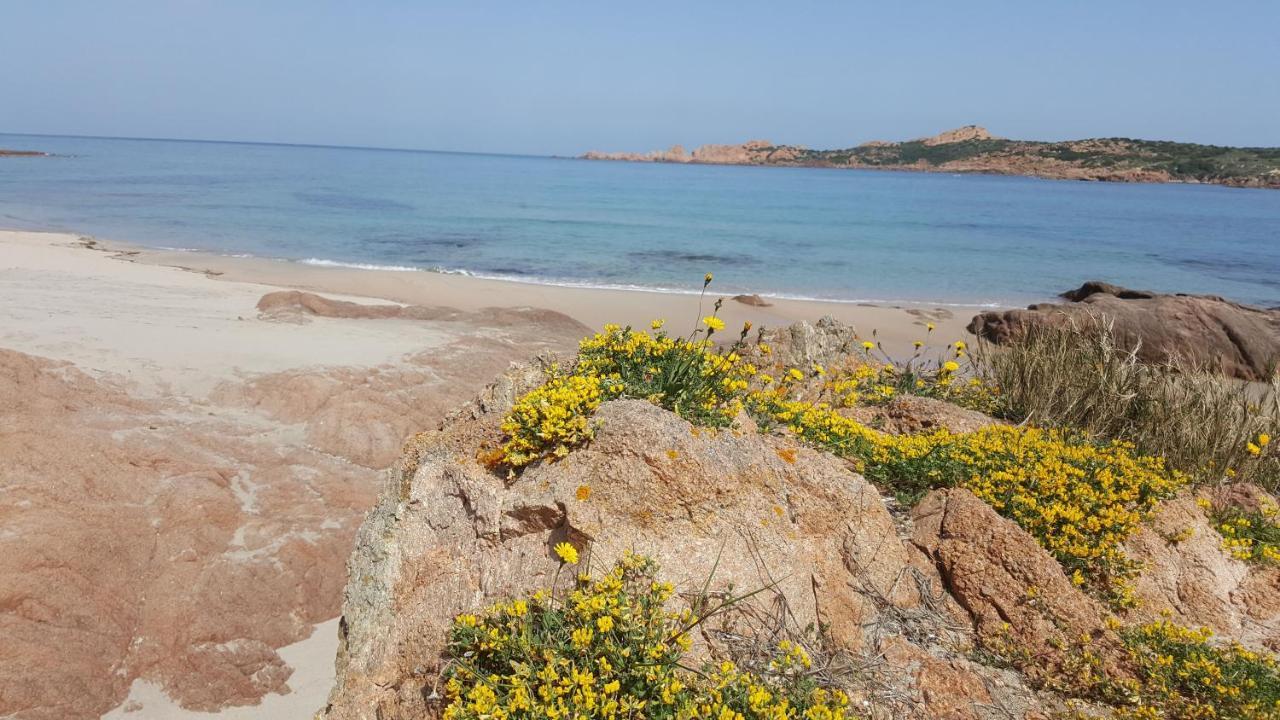 Casa Vacanza Costa Rossa Vista Mare Trinità dʼAgultu Dış mekan fotoğraf